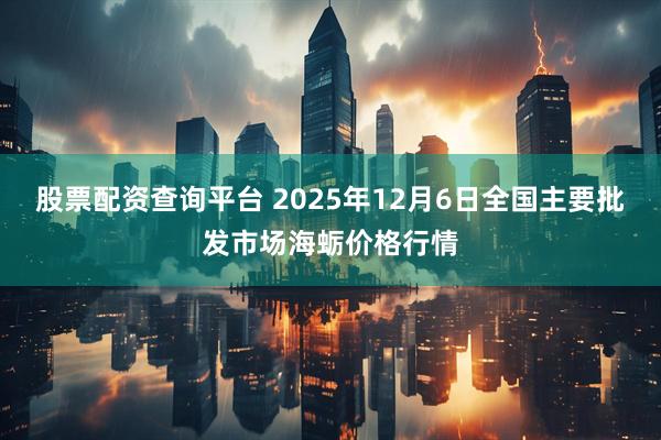 股票配资查询平台 2025年12月6日全国主要批发市场海蛎价格行情